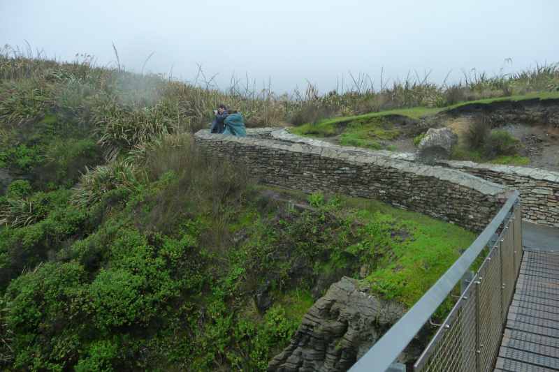 Nieuw-Zeeland 2011 - 1307